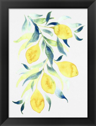 Framed Watercolor Lemons Print