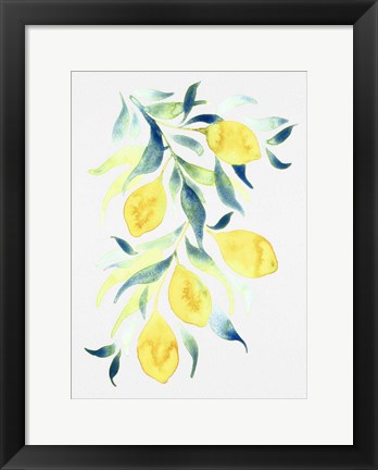 Framed Watercolor Lemons Print