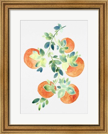 Framed Watercolor Oranges Print
