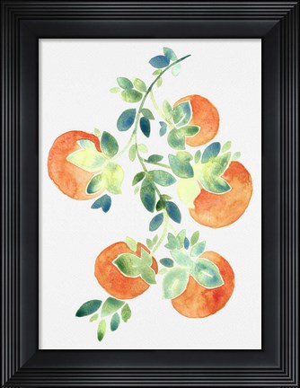 Framed Watercolor Oranges Print