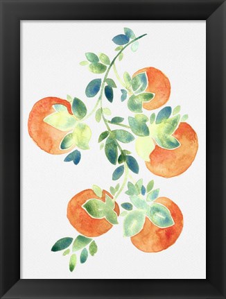 Framed Watercolor Oranges Print