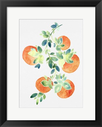 Framed Watercolor Oranges Print