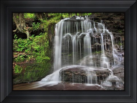 Framed Gunn Brooks Falls Print