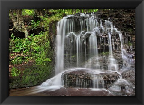 Framed Gunn Brooks Falls Print