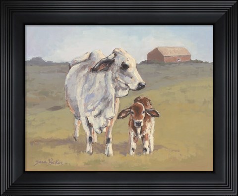 Framed Brahman Baby Print