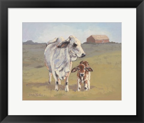 Framed Brahman Baby Print