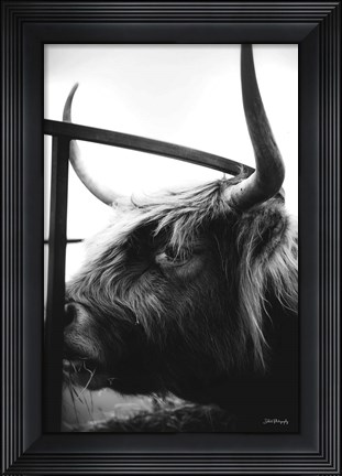 Framed Dinner Time Print