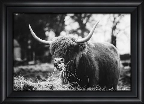 Framed Midday Meal Print