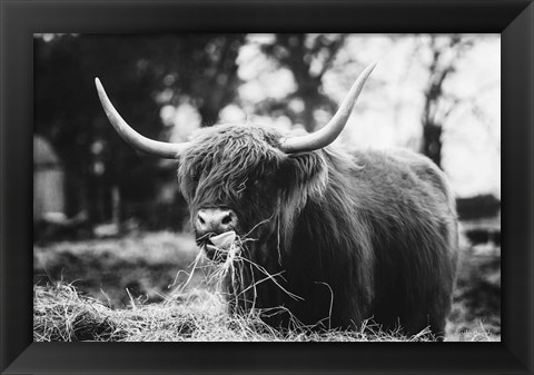 Framed Midday Meal Print