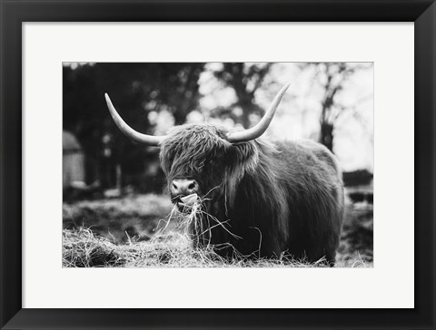 Framed Midday Meal Print