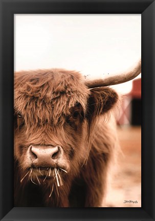 Framed Hungry Highland II Print