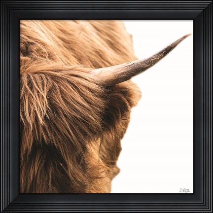 Framed Highland Horn II Print