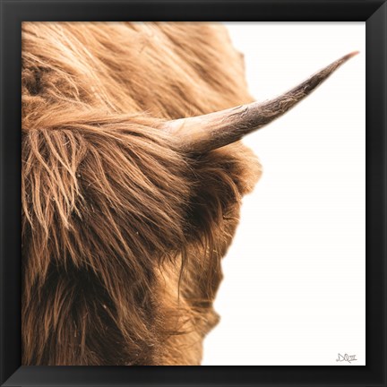 Framed Highland Horn II Print