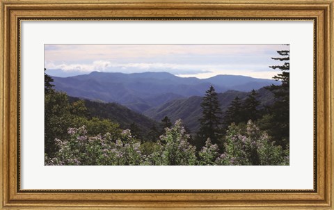 Framed Scenic Mountain View Print