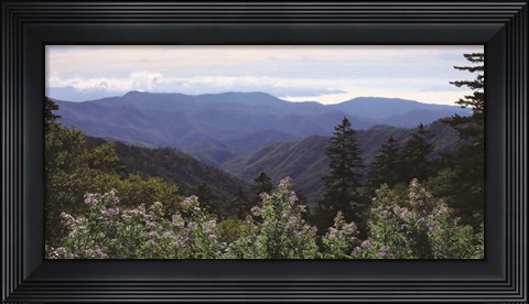 Framed Scenic Mountain View Print