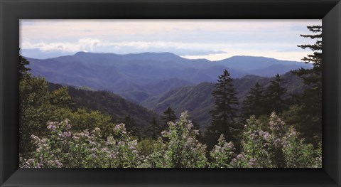 Framed Scenic Mountain View Print