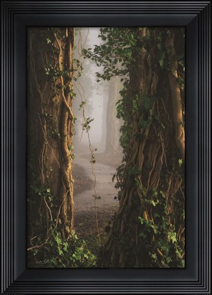 Framed View In Between Print