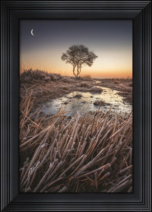Framed Frost Print