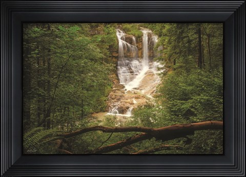 Framed Hidden Treasure Print