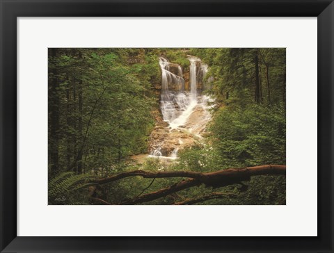 Framed Hidden Treasure Print