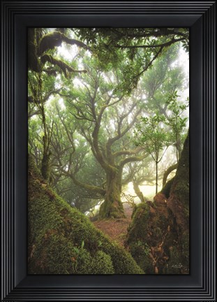 Framed Tree Love Print