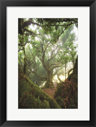 Framed Tree Love Print