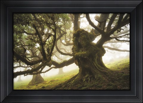 Framed Forest Monster Print