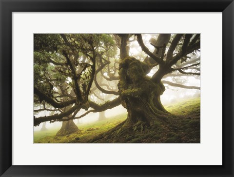 Framed Forest Monster Print