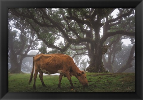 Framed Cow in the Fog Print