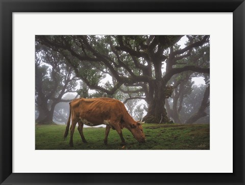 Framed Cow in the Fog Print