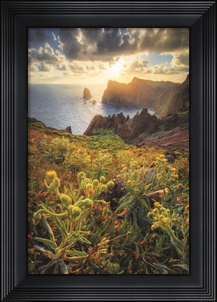Framed Beautiful Sunrise Print