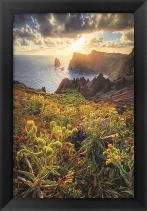 Framed Beautiful Sunrise Print