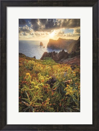 Framed Beautiful Sunrise Print