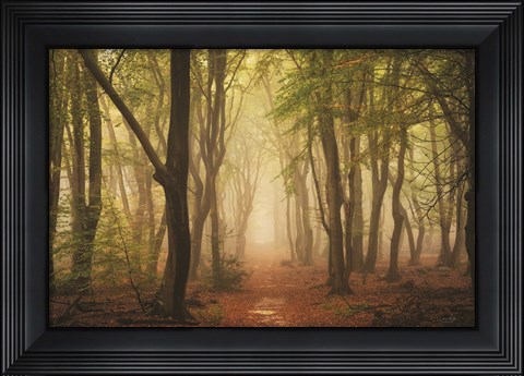 Framed Path of Peace Print