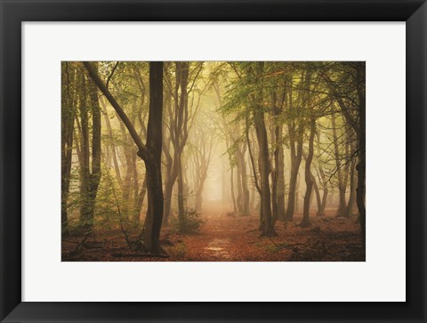 Framed Path of Peace Print