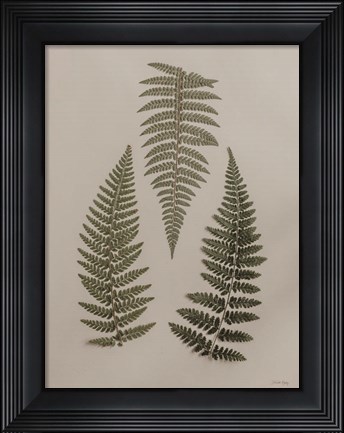 Framed Light Fern Study I Print