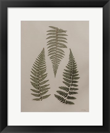 Framed Light Fern Study I Print