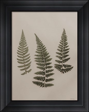 Framed Light Fern Study II Print