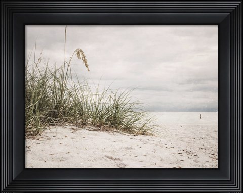 Framed Vintage Beach Grass II Print