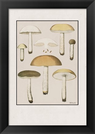 Framed Mushroom Study Print
