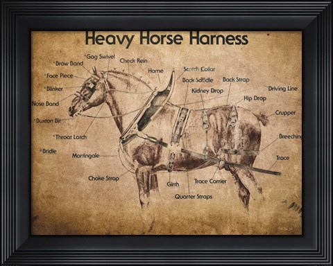 Framed Heavy Horse Harness Print