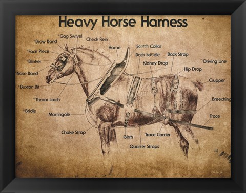 Framed Heavy Horse Harness Print