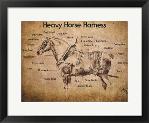 Framed Heavy Horse Harness Print