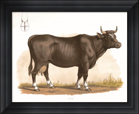 Framed Clarabelle Print