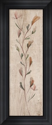 Framed Calm Thriving Beauties Print
