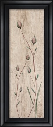 Framed Calm Posies Print