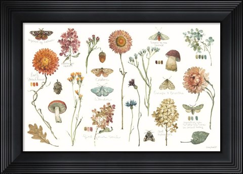 Framed Season's Study III Print