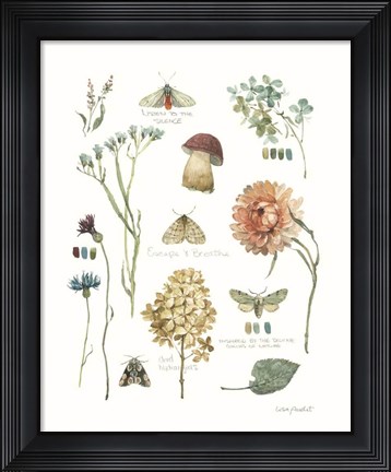 Framed Season's Study IV Print