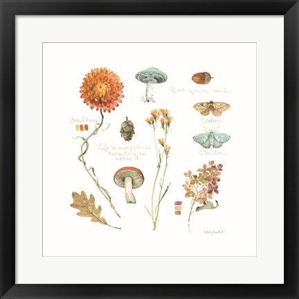 Framed Season&#39;s Study VII Print