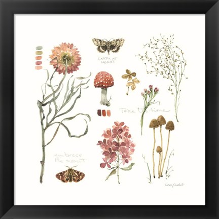 Framed Season&#39;s Study VIII Print